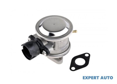 Supapa pompa sistem aer secundar Seat Leon 1 (1999-2006)[1M1] #1 foto