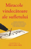 Miracole vindecătoare ale sufletului - Paperback brosat - Zhi Gang Sha - Adevăr divin