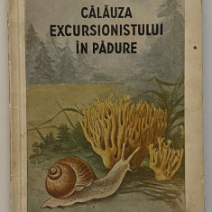 Calauza Excursionistului in Padure - A. Popovici Baznosanu; M.A. Ionescu