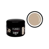 Cumpara ieftin DRY UV COLOR GEL Inginails Professional &ndash; Champagne Pink 114 - bej, 5ml