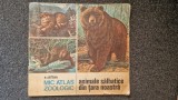 MIC ATLAS ZOOLOGIC. ANIMALE SALBATICE - Saftoiu