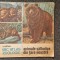 MIC ATLAS ZOOLOGIC. ANIMALE SALBATICE - Saftoiu