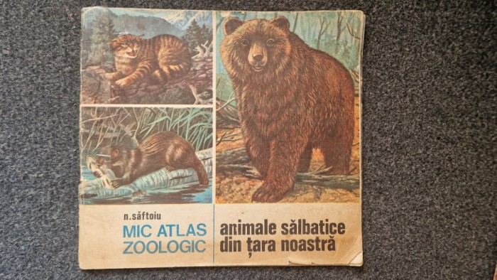 MIC ATLAS ZOOLOGIC. ANIMALE SALBATICE - Saftoiu