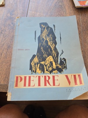 Pietre VII - David Sava foto