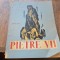Pietre VII - David Sava