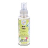 Spray auto cu vanilie