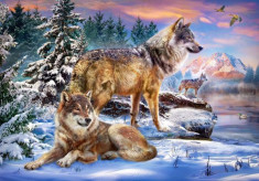 Puzzle Castorland - Wolfish Wonderland 500 piese (53049) foto