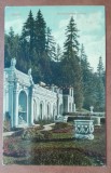 Carte Postala Sinaia, Terasa Castel Peles, Interbelica, Circulata, 14x9 cm