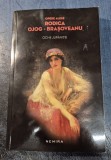 Ochii jupanitei Rodica Ojoc Brasoveanu