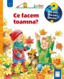 Cumpara ieftin Ce Facem Toamna?, Andrea Erne - Editura Casa