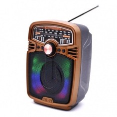 Radio portabil cu bluetooth si acumulator, MP3, USB, TF, FM, AM, SW, LED, lumini RGB, maro