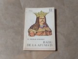 NICOLAE STIOCESCU - RADU DE LA AFUMATI