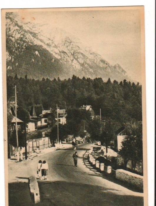 CPI B 10960 CARTE POSTALA - POIANA TAPULUI. VEDERE, RPR