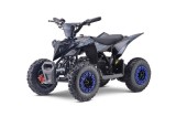 Atv electric copii Mini Warrior 6&amp;quot; 1000w 36v albastru