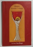 PLINIREA POTIRULUI CREDINTEI de ION BUGA , 2007 * DEDICATIE