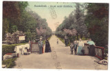2578 - BUZIAS, Timis, Romania - old postcard - used - 1914, Circulata, Printata