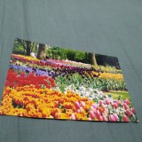 Cumpara ieftin CARTE POSTALA FELICITARE CIRCULATA
