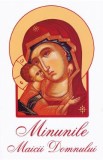 Minunile Maicii Domnului - Carte Religioasa Crestinism, Marturii si Vindecari