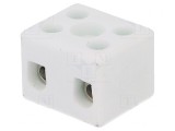Regletă de Conexiuni Terminal 4mm2 450V 32A 2 Piste