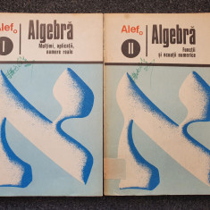 ALEF ALGEBRA Multimi aplicatii numere reale + Functii si ecuatii numerice 2 vol