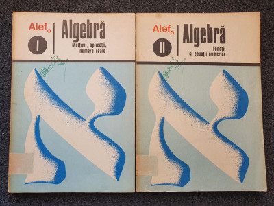 ALEF ALGEBRA Multimi aplicatii numere reale + Functii si ecuatii numerice 2 vol foto