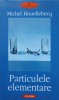 PARTICULELE ELEMENTARE-MICHEL HOUELLEBECQ-275409