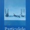 PARTICULELE ELEMENTARE-MICHEL HOUELLEBECQ-275409