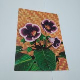 Cumpara ieftin CARTE POSTALA FELICITARE NECIRCULATA