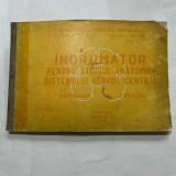 N. Rottenberg - Indrumator pentru studiul anatomiei sistemului nervos central