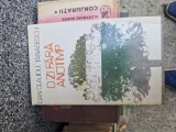 O zi fără anotimp vintage