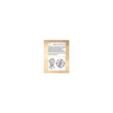 A Treatise on Regeneration. by Peter Van Mastricht, D.D. Professor of Divinity in the Universities of Francfort, Duisburgh, and Utrecht. Extracted f