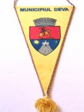 Fanion - Municipiul DEVA