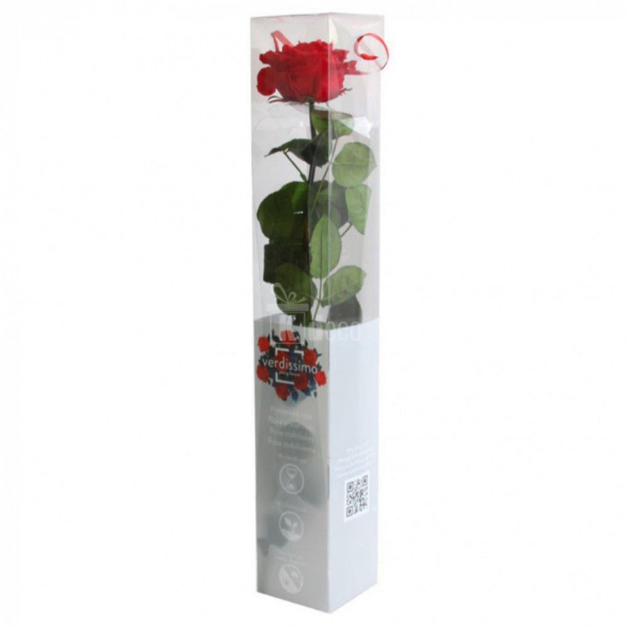Trandafir Criogenat premium lux rosu &Oslash;7,5-8,5xL55cm, cadou