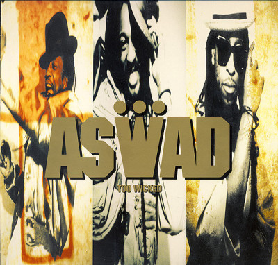 Vinil Aswad &amp;ndash; Too Wicked (-VG) foto