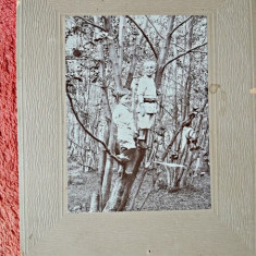 Fotografie tip CDV, doi baieti urcati in copac, inceput de secol XX