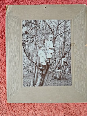 Fotografie tip CDV, doi baieti urcati in copac, inceput de secol XX foto