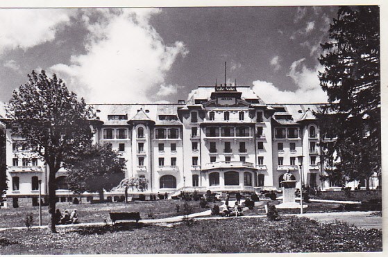 bnk cp Sinaia - Hotelul Postavarul - necirculata