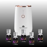 Cumpara ieftin Aparat de odorizare parfumare auto profesional 10Q Aroma ScentA603 cu Bluetooth si acumulator intern 2000mAh - Alb ALB