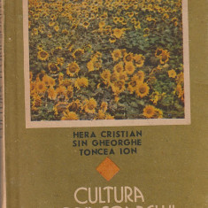 HERA CRISTIAN, SIN GHEORGHE, TONCEA ION - CULTURA FLORR-SOARELUI