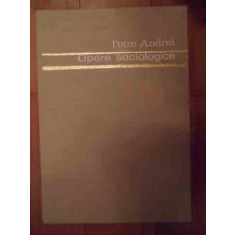 Opere Sociologice Vol.1 - Petre Andrei ,534553