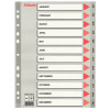 Separatoare Index din Carton Esselte Mylar, A4, Tip Index Ianuarie-Decembrie, Taste Laminate, Multicolor, Separator Index, Separatoare Carton Index, S