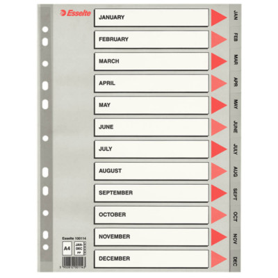 Separatoare Index din Carton Esselte Mylar, A4, Tip Index Ianuarie-Decembrie, Taste Laminate, Multicolor, Separator Index, Separatoare Carton Index, S foto