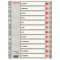 Separatoare Index din Carton Esselte Mylar, A4, Tip Index Ianuarie-Decembrie, Taste Laminate, Multicolor, Separator Index, Separatoare Carton Index, S