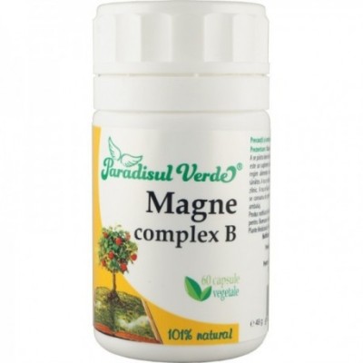 Magne Complex B 60cps Paradisul Verde foto