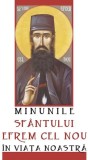 Minunile Sf&acirc;ntului Efrem cel Nou &icirc;n viața noastră (fară acatist) - Paperback brosat - *** - Sophia