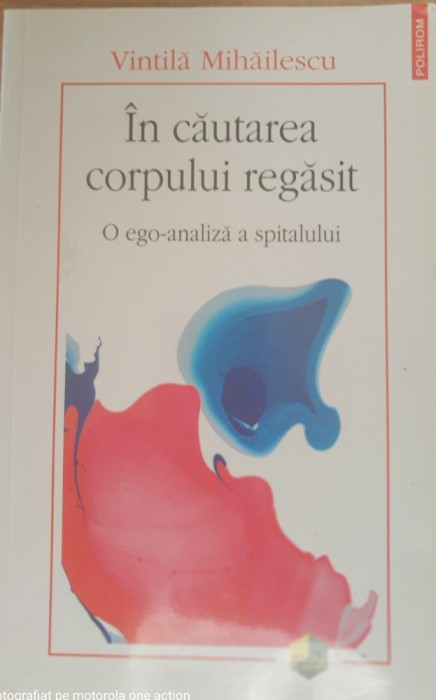 In cautarea corpului regasit O ego analiza a spitalului - Vintila Mihailescu