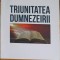 TRIUNITATEA DUMNEZEIRII-FLORIN LAIU-202878