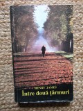 INTRE DOUA TARMURI-HENRY JAMES