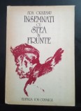 &Icirc;nsemnați cu stea &icirc;n frunte - Ada Orleanu