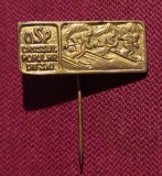 Insigna RegalistaOSP Crosul Popular de Ski
